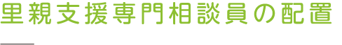 里親支援専門相談員の配置