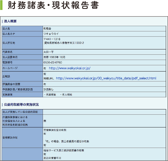 財務諸表・現状報告書