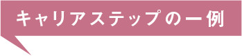 キャリアステップの一例